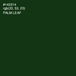 #143514 - Palm Leaf Color Image